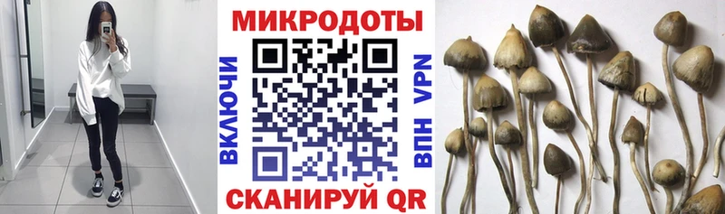 МЕГА маркетплейс  Шимановск  Псилоцибиновые грибы MAGIC MUSHROOMS 